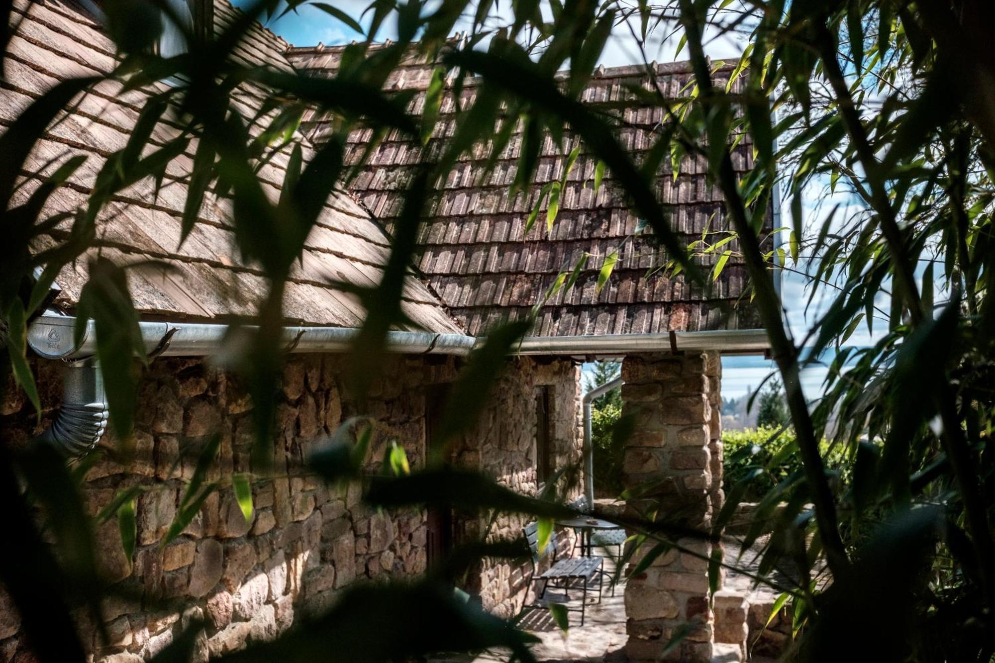 הוילה Abrahamhegyi Panorama Hideout מראה חיצוני תמונה